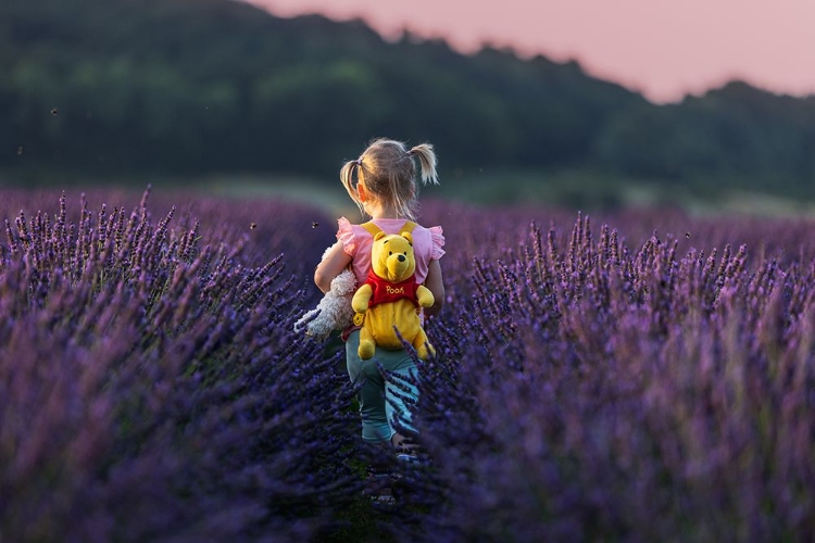 Picture of WINNIE THE POOH JOURNEY IN THE LAVENDER SEA