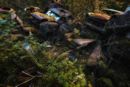 Picture of THE PILE OF CARS