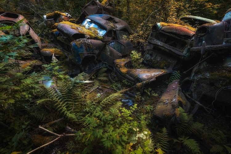 Picture of THE PILE OF CARS
