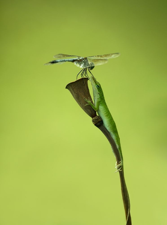 Picture of KEEP YOUR MOUTH CLOSE