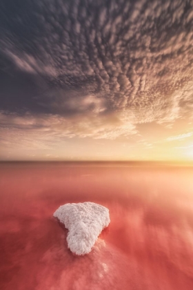 Picture of SALINAS DE TORREVIEJA-SPAIN