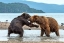 Picture of DISCUSSIONS