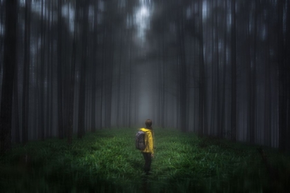 Picture of ANXIOUS FOREST