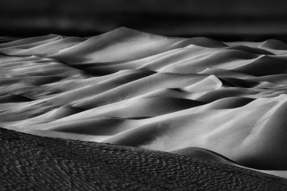 Picture of THE ART OF SAND AND WIND (2)