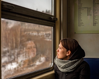 Picture of LADY IN A TRAIN