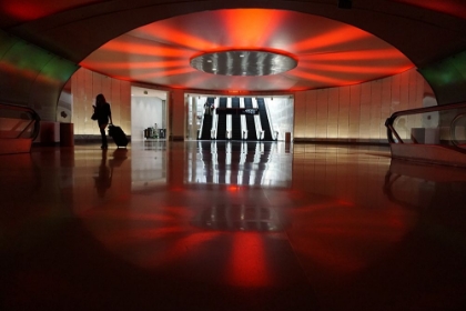 Picture of RED - DETROIT METRO AIRPORT