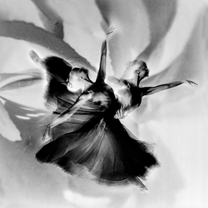 Picture of DANCE IN BLACK AND WHITE