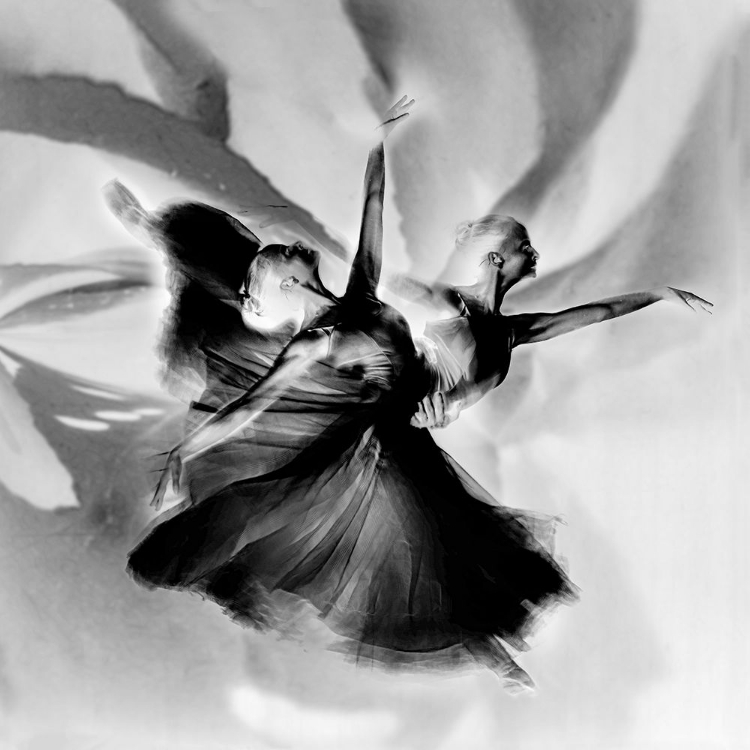 Picture of DANCE IN BLACK AND WHITE