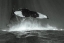 Picture of TALE OF WHALES