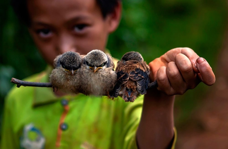 Picture of CHILD AND BIRD