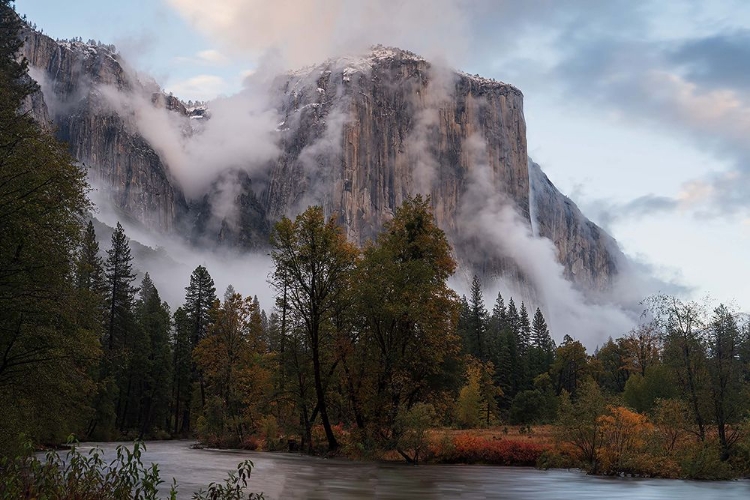 Picture of FALL COLOR IN MIST