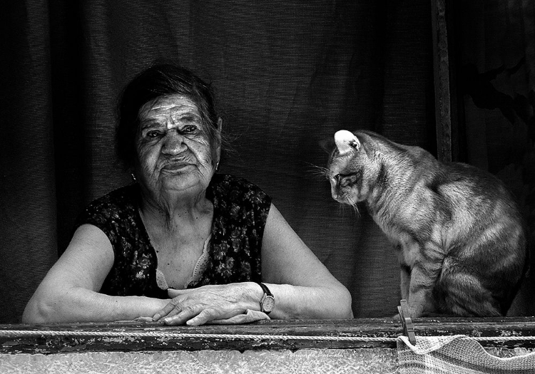 Picture of LADY AT THE WINDOW WITH HER CAT