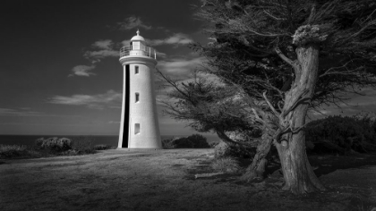 Picture of MERSEY BLUFF LIGHTHOUSE