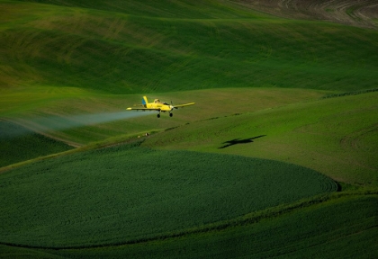 Picture of THE AIRPLANE AND THE PALOUSE
