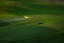 Picture of THE AIRPLANE AND THE PALOUSE