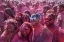 Picture of HOLI FEST
