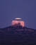Picture of STURGEON SUPERMOON