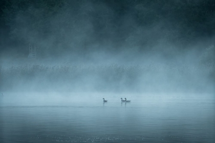 Picture of DARK AND FOGGY LAKE