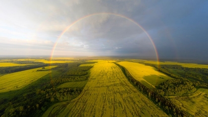 Picture of AN EXOTIC LOOK AT THE RAINBOW