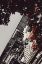 Picture of NEW YORK CITY AUTUMN