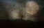 Picture of NIGHT IS COMING