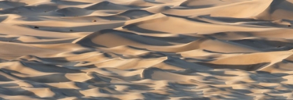 Picture of SAND WAVES