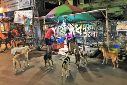 Picture of THE CHICKEN SHOP-AND ITS CUSTOMERS. CALCUTTA.