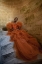 Picture of BEAUTY IN ORANGE 1