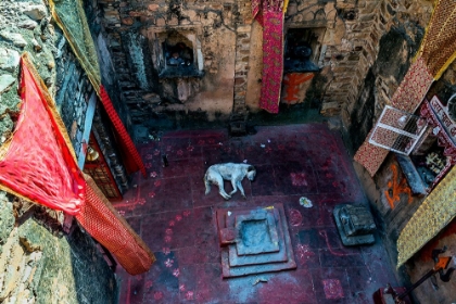 Picture of IN A SMALL INDIAN TEMPLE