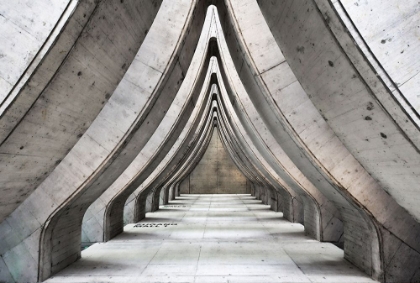 Picture of CATHEDRAL OF CONCRETE