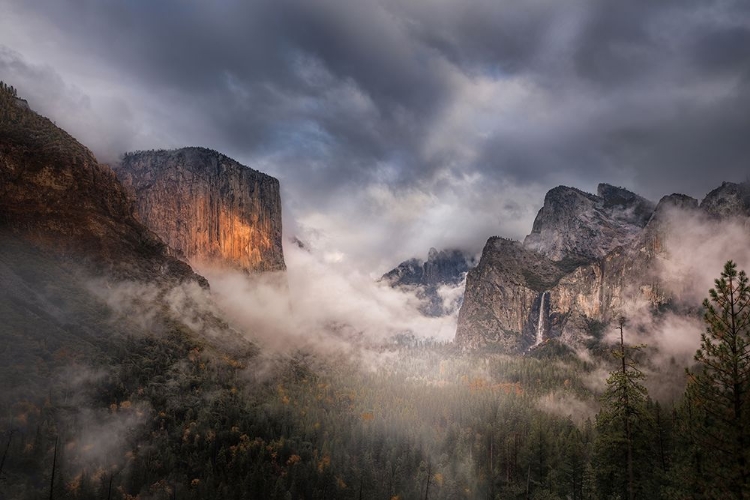 Picture of AFTER RAIN