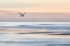 Picture of OUT THERE