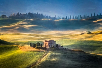 Picture of TOSCANA