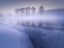 Picture of FOGGY NORTHLAND