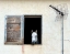 Picture of THE WINDOW