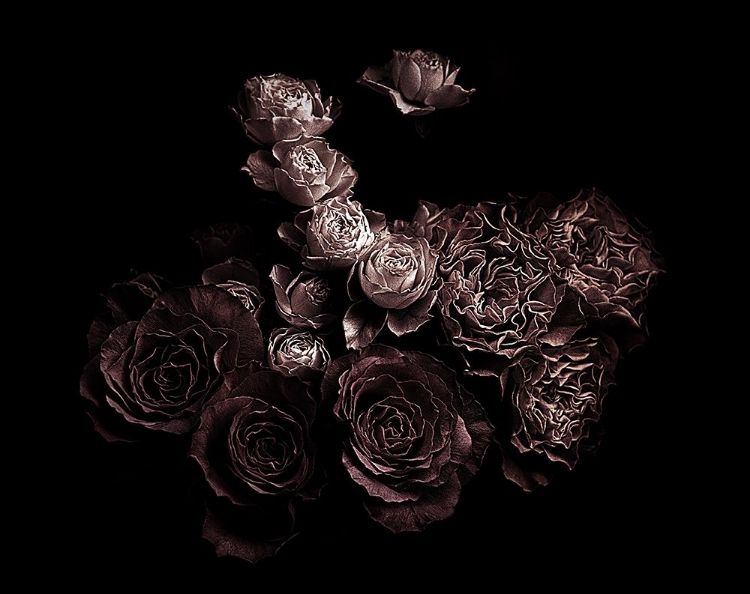 Picture of ROSES