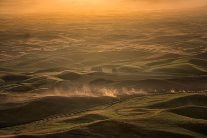 Picture of THE PALOUSE IN THE MORNING