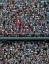 Picture of THE CROWD