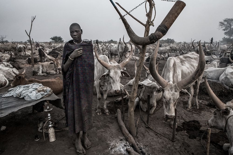 Picture of IN A MUNDARI CATTLE CAMP-III - SOUTH SUDAN