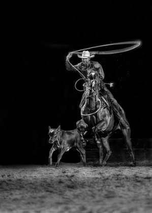 Picture of CALF ROPING