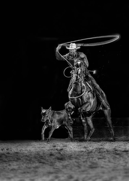 Picture of CALF ROPING