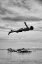 Picture of IN MID-AIR
