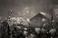 Picture of WINTER STORY