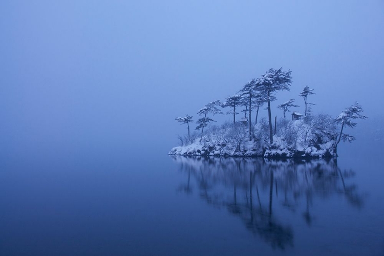 Picture of SNOWY MORNING