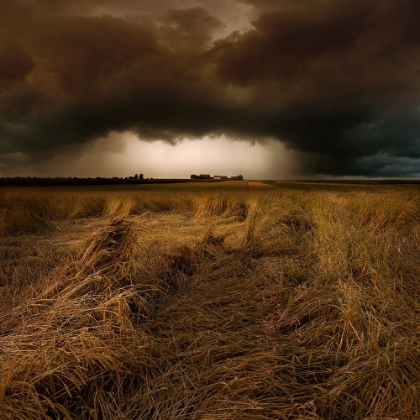 Picture of STRAW COUNTRY