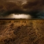 Picture of STRAW COUNTRY