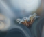 Picture of INFINITE LONGING...
