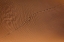 Picture of FOOTPRINT