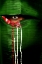 Picture of MYSTERIOUS EYE