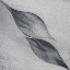 Picture of SHAPED BY A CREATIVE WIND
